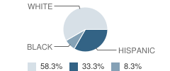 Pima County Jted Cosmetology School Student Race Distribution