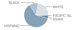 Olympic High (Continuation) School Student Race Distribution