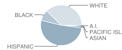 Oak Hills High School Student Race Distribution