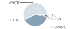 Agua Dulce Elementary School Student Race Distribution