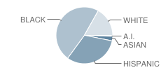 Pathways to Technology Magnet School Student Race Distribution