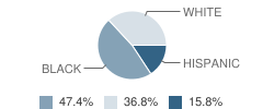 A.c.e. Charter School Student Race Distribution