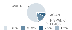 Seminole Virtual Instruction Program (Svip) School Student Race Distribution