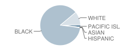 Wheeless Road Elementary School Student Race Distribution