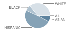 Belding Elementary School Student Race Distribution