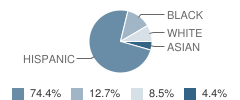 Gunsaulus Elementary Scholastic Academy Student Race Distribution