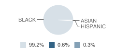 Fernwood Elementary School Student Race Distribution