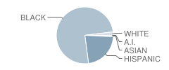 Chicago Military Academy High School Student Race Distribution