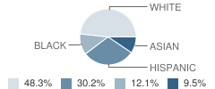 Beard Elementary School Student Race Distribution
