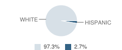 Olpe High School (Junior / Senior) Student Race Distribution