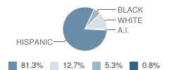 Clemente, Roberto Academy Student Race Distribution