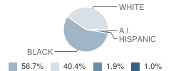 Pearson Education Center School Student Race Distribution