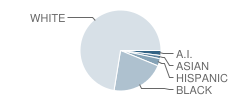 Pleasant Garden Elementary School Student Race Distribution