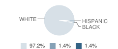 Bowman Middle School Student Race Distribution