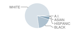 Woodland Elementary School Student Race Distribution