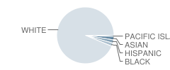 Southampton Township (Twp) School No 2 Student Race Distribution