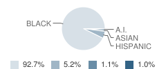 Brooklyn Excelsior Charter School Student Race Distribution