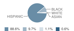 Middle School (Ms) 321 Minerva Student Race Distribution