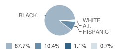 Middle School (M.s.) 584 Student Race Distribution