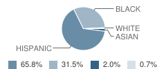 Facing History School (The) Student Race Distribution