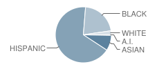 Franklin K. Lane High School Student Race Distribution