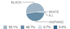 John V. Lindsay Wildcat Academy Charter School Student Race Distribution