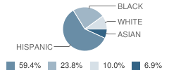 Early Childhood Program School Student Race Distribution