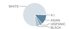 Dows Lane (K-3) School Student Race Distribution