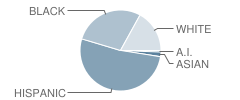 Newburgh Prekindergarten Center School Student Race Distribution