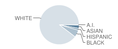 Lake Elementary School Student Race Distribution