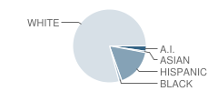 Woodward High School Student Race Distribution