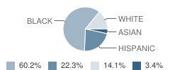 Community Based Pk School Student Race Distribution