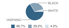 Alief ISD Juvenile Justice Alternative Education Program (Jjaep) School Student Race Distribution