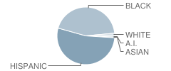 Young Learners School Student Race Distribution