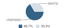 Tomball Juvenile Justice Alternative Education Program (Jjaep) Campus School Student Race Distribution