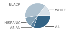 Spotted Eagle High (Maaic) School Student Race Distribution