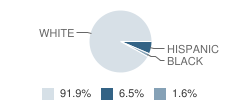 Alta Elementary School Student Race Distribution