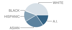 St Mary's School Student Race Distribution