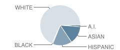 Christian High School (Junior / Senior) Student Race Distribution