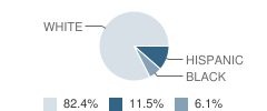 New Life Christian Academy Student Race Distribution