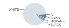 Brethren Christian High School (Junior / Senior) Student Race Distribution