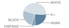 Fellowship Christian Academy Student Race Distribution