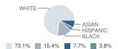 Kinder Academy (The) Student Race Distribution