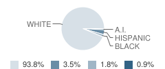 Cornerstone Academy Student Race Distribution