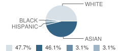 St Joseph High School (Junior / Senior) Student Race Distribution