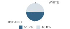 Cardinal Stritch High School (Junior / Senior) Student Race Distribution