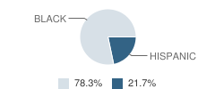New Knowledge Learning Center School Student Race Distribution