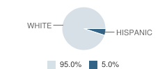 Orchardville Mennonite School Student Race Distribution