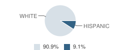 Tollesboro Christian High School (Junior / Senior) Student Race Distribution