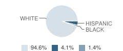 St Joseph School (C) Student Race Distribution